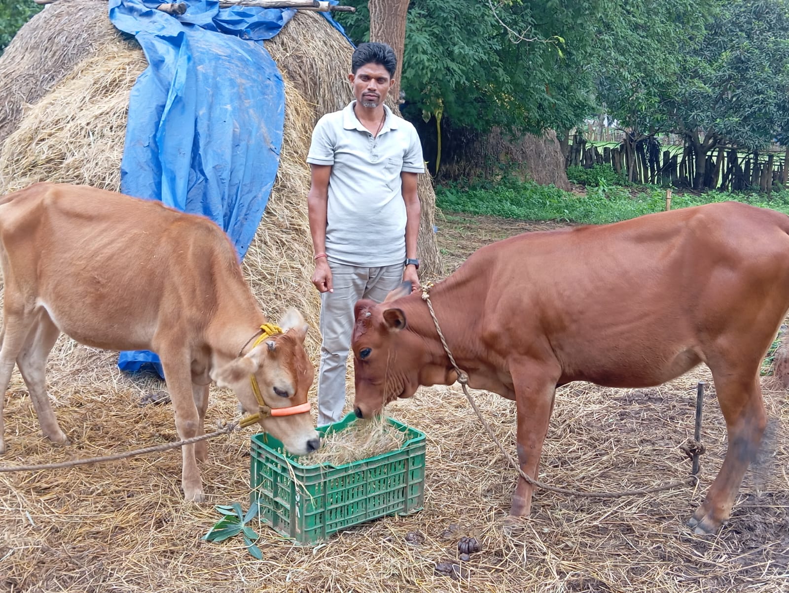 सेवा संकल्प अभियान: डेयरी व्यवसाय बना आत्मनिर्भरता का माध्यम